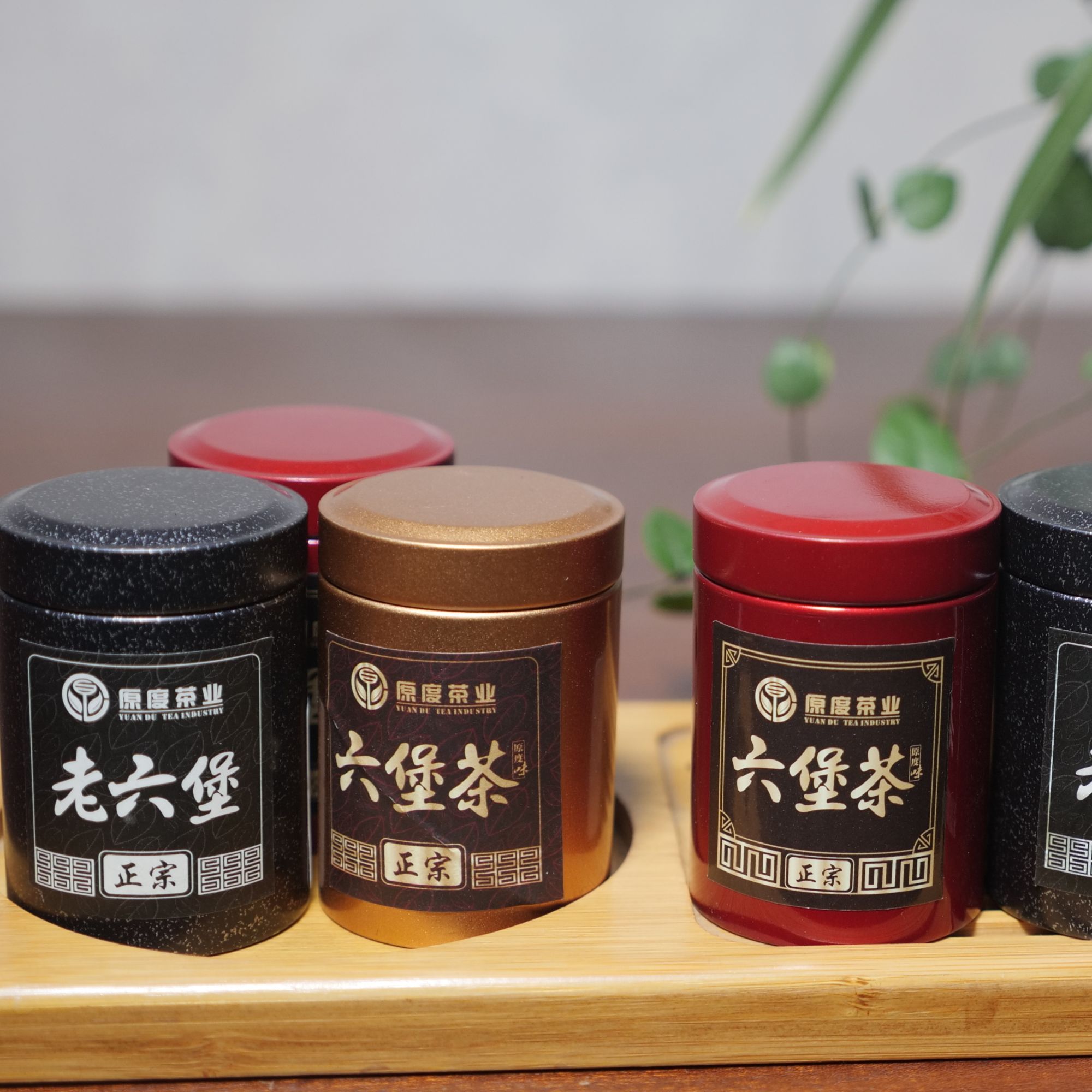 原度高端六堡茶20年陈老六堡茶10g/体验装罐装