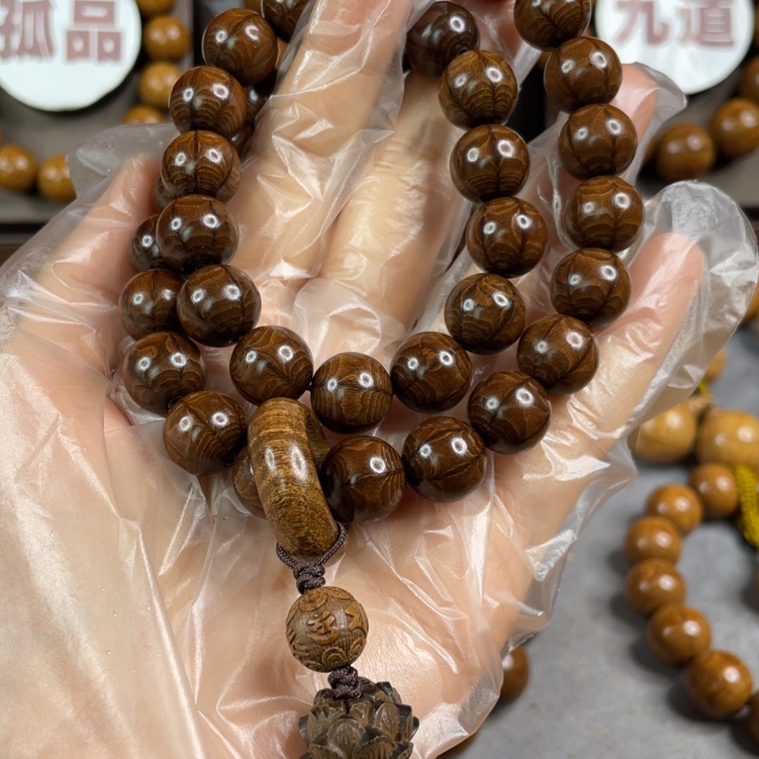 六道木枯树， 毕业1.2