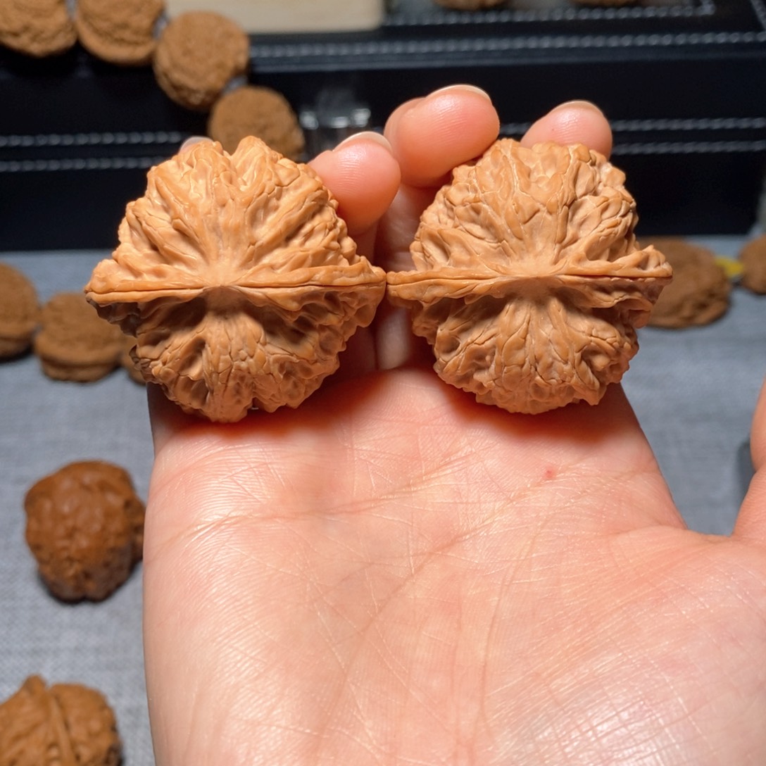 43尺全品无修苹果园……