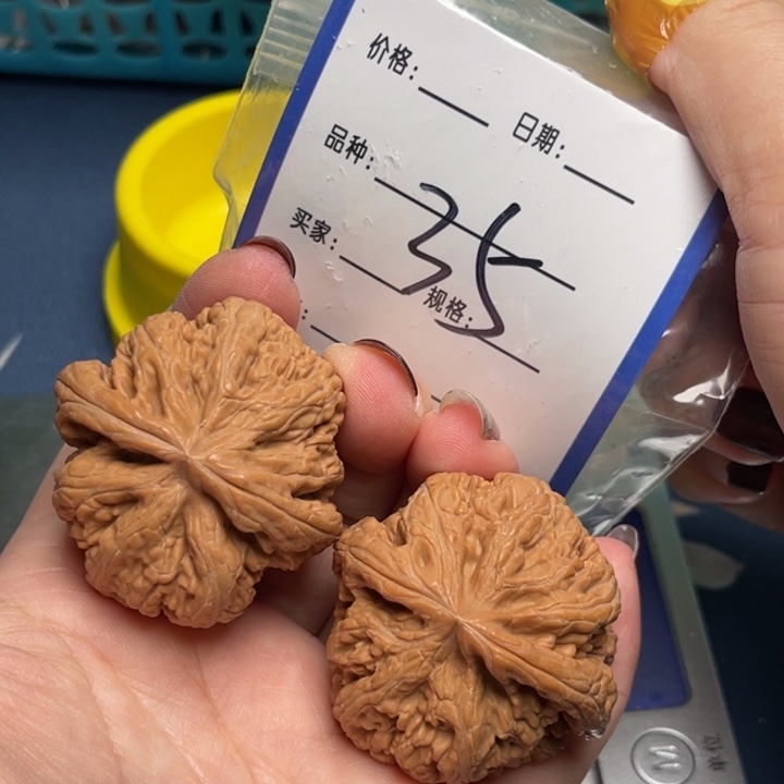 文玩核桃把件粗筋42