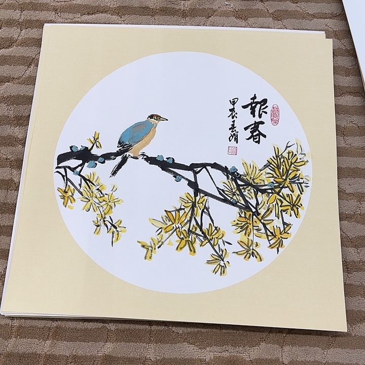 国画花鸟的翅膀和羽毛的