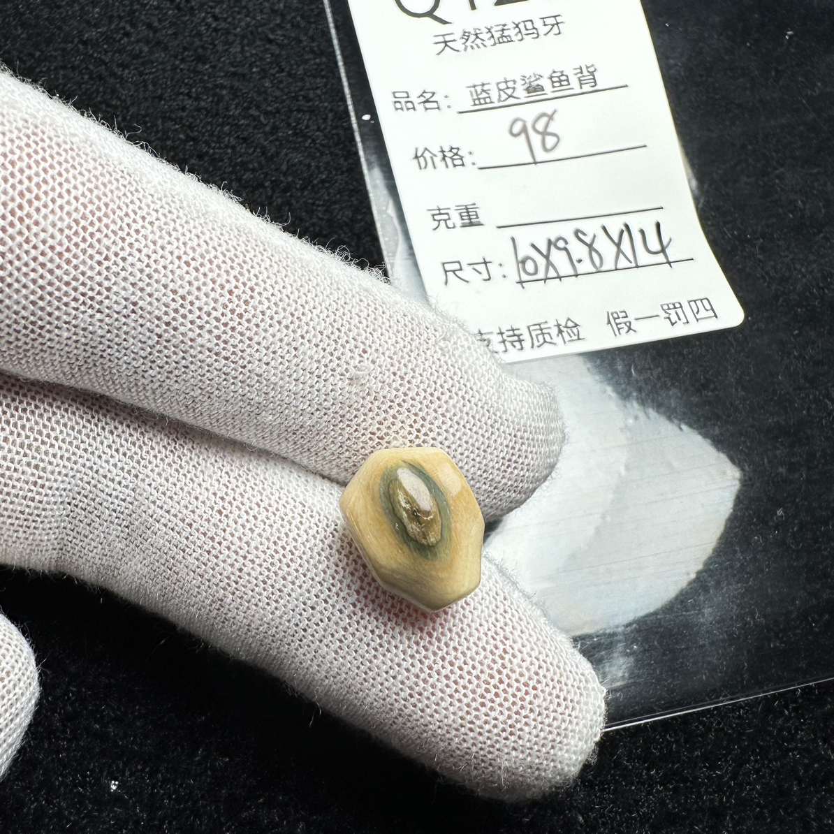 Q126天然猛犸象牙蓝皮鲨鱼背三通10*9.8*14mm