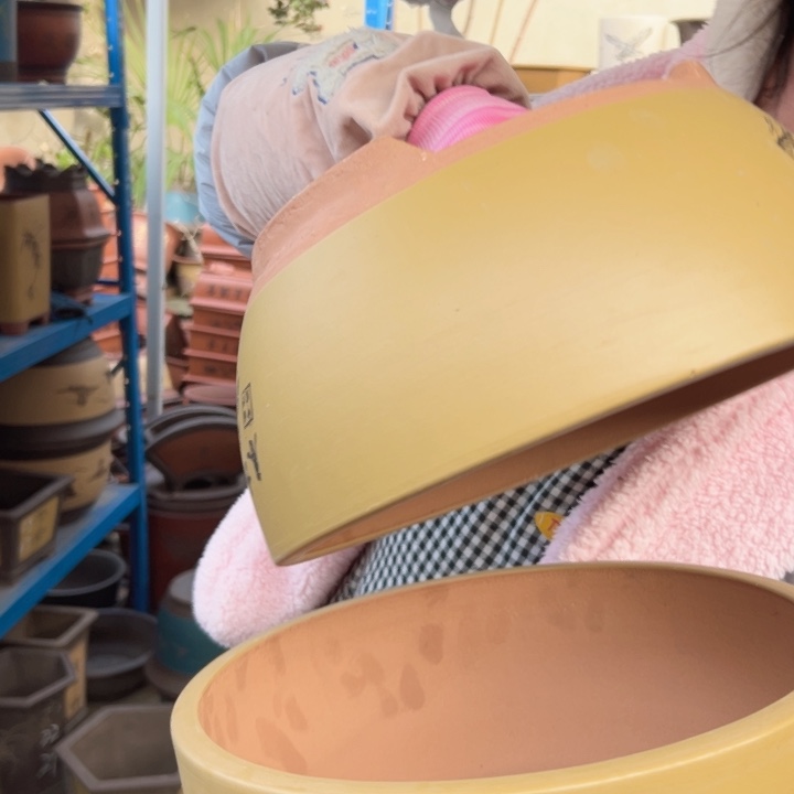 26+26黄江山如画中一对花盆，现在都