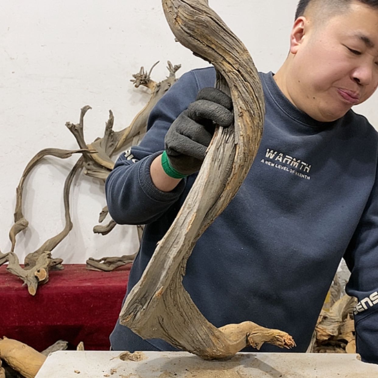 【闪购商品】柏木小*我们都是好孩子