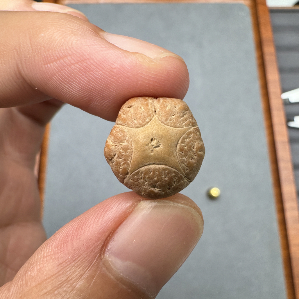 15+五星上将菩提凤眼菩提三通佛头背云侧挂非质量问题开孔不退