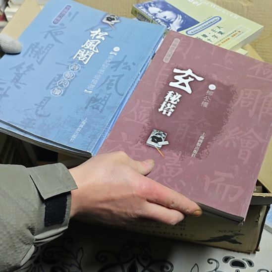 玄秘塔加松风阁。上海画报出版社的两本一套