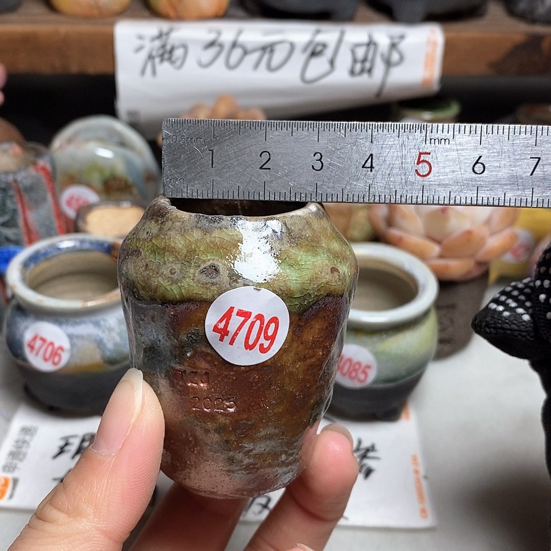 红陶拍5送一个小