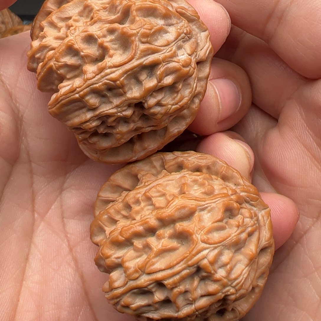 文玩核桃把件三角白41