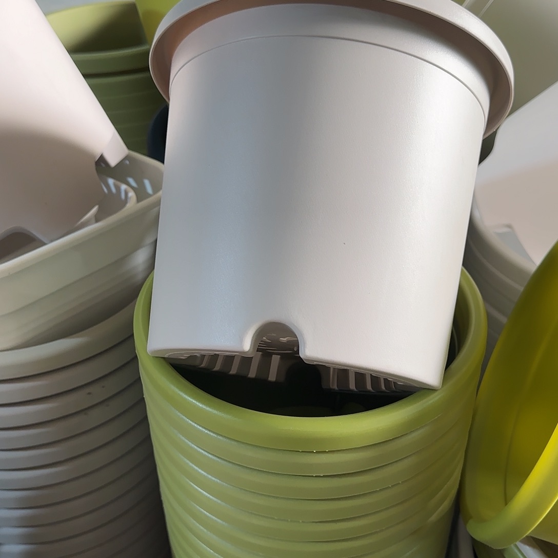 树脂四季4号无托8个灰白