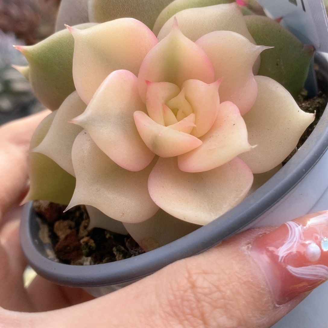 131贝加尔湖锦锦锦锦