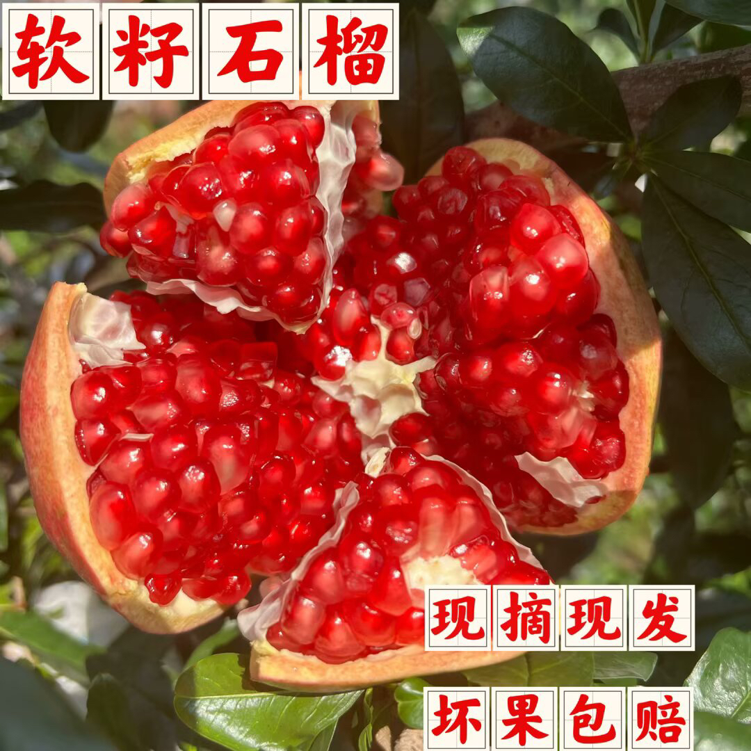 四川突尼斯软籽石榴现摘现发3/4.5/8斤坏果包赔