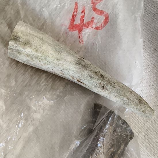 x***x鹿角鹿角鹿角鹿角鹿角鹿角