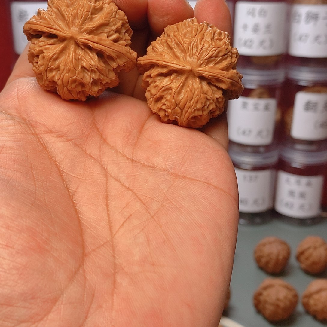 核桃把件40尺寸苹果园核桃