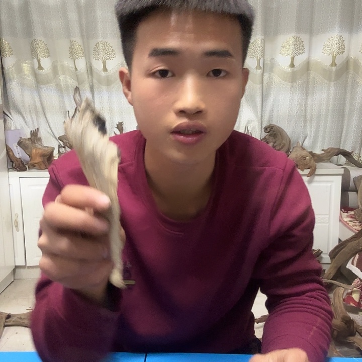 银S925北太行崖柏陈化料