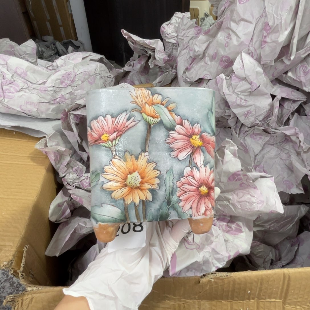 米***麻瑶宸1个手绘多肉花盆