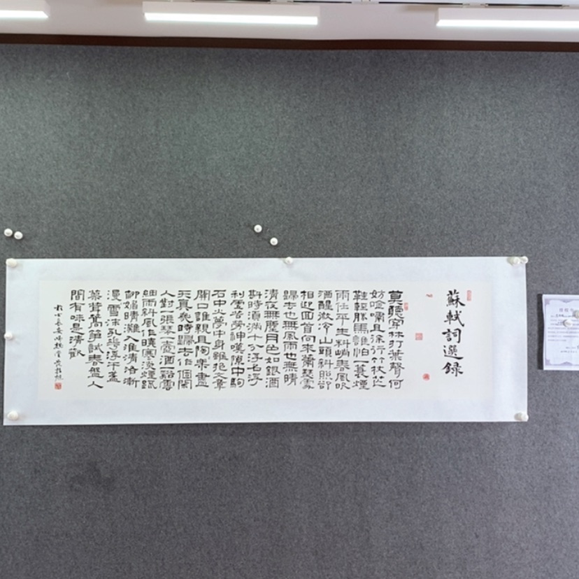 【闪购商品】书法书法书法作品欣赏，