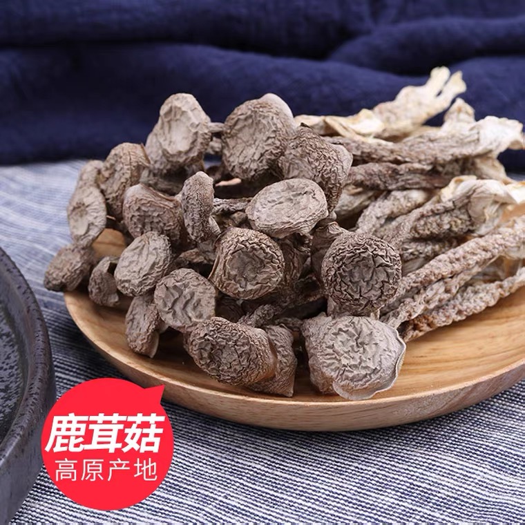 【鹿茸菇干货】干货鹿茸菇蘑菇云南特产脆脆菇鹿茸菌香菇食用