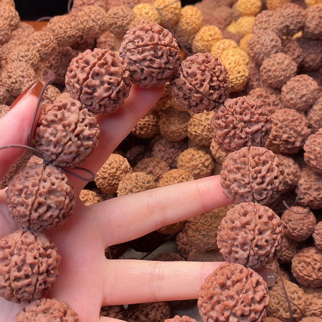 手串金刚菩提七瓣    26   14号