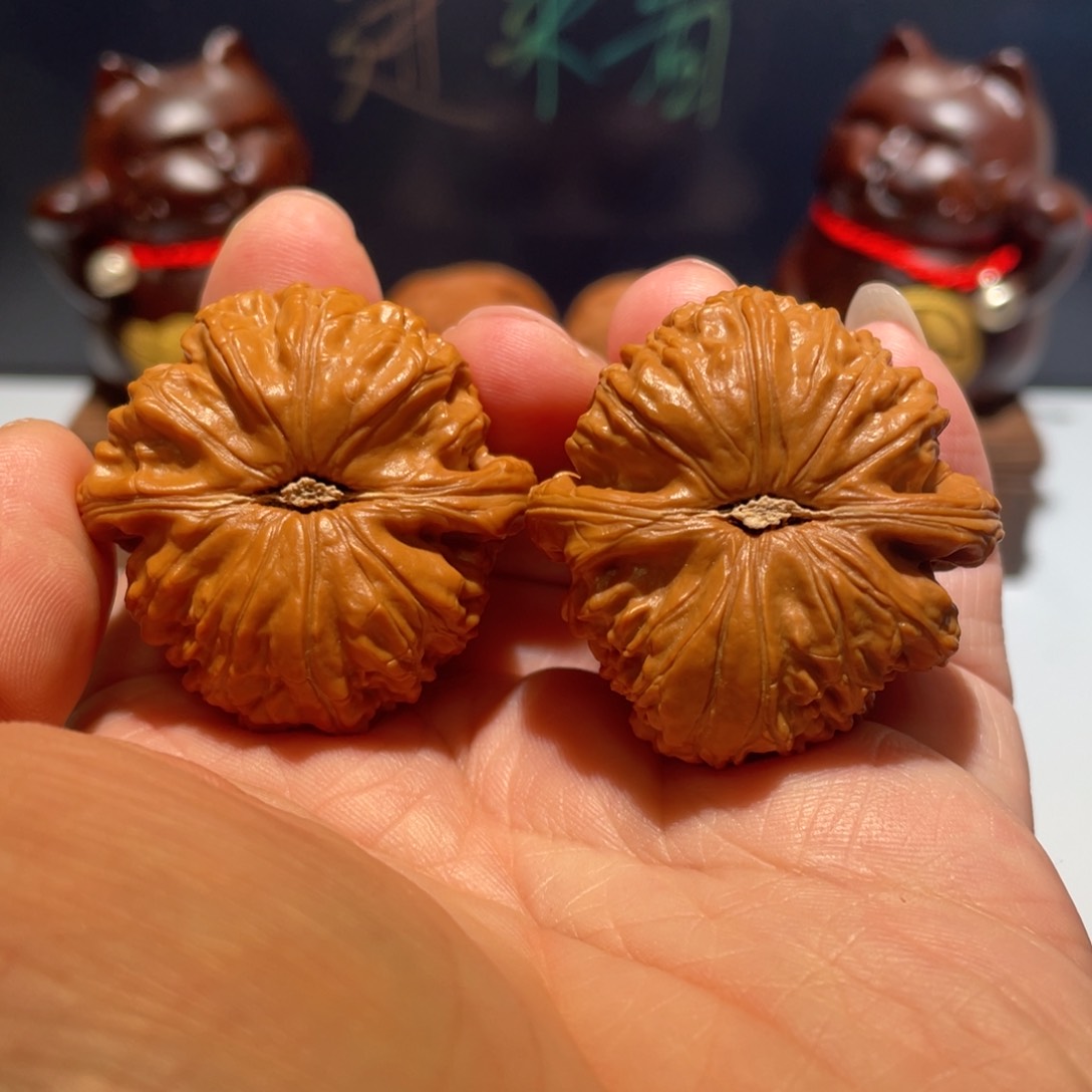 文玩核桃把件白狮子38微修