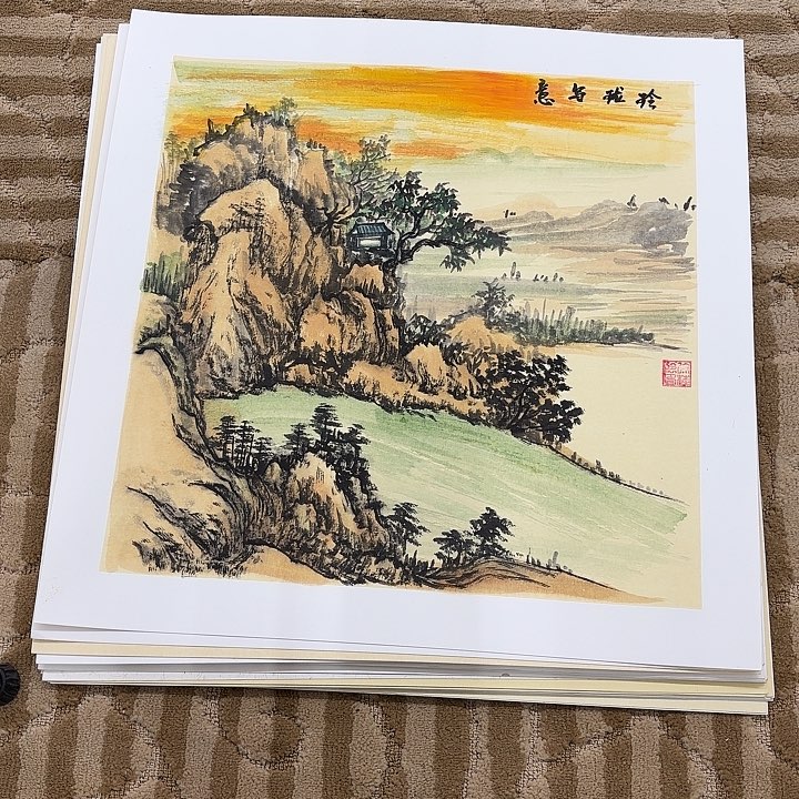 国画花鸟的翅膀和翅膀都是50.50
