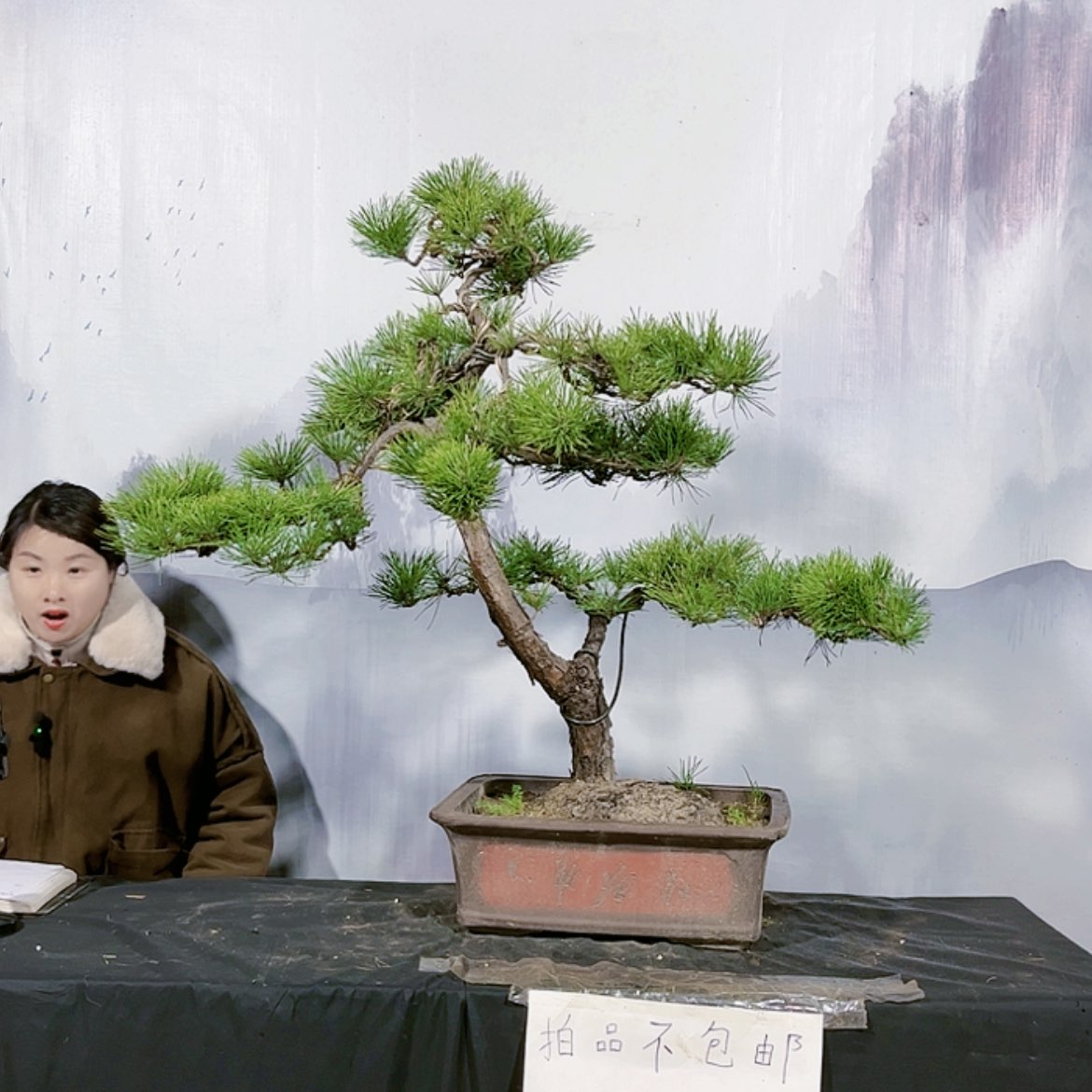 【闪购商品】运费到付