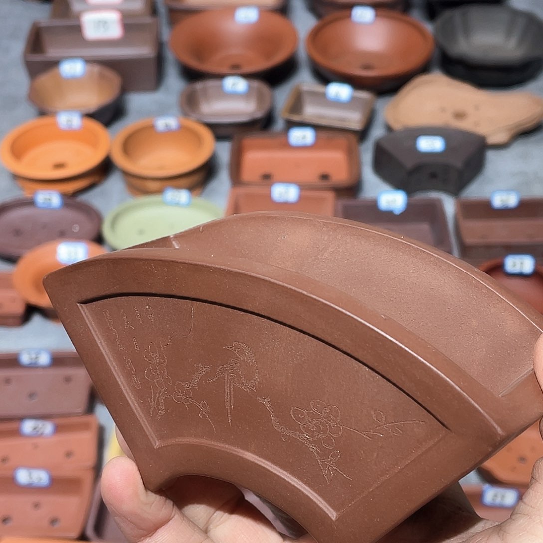 紫砂紫砂小盆11.5*5*5.5