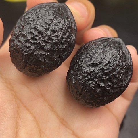 文玩核桃把件36尺蟒纹龙蛋