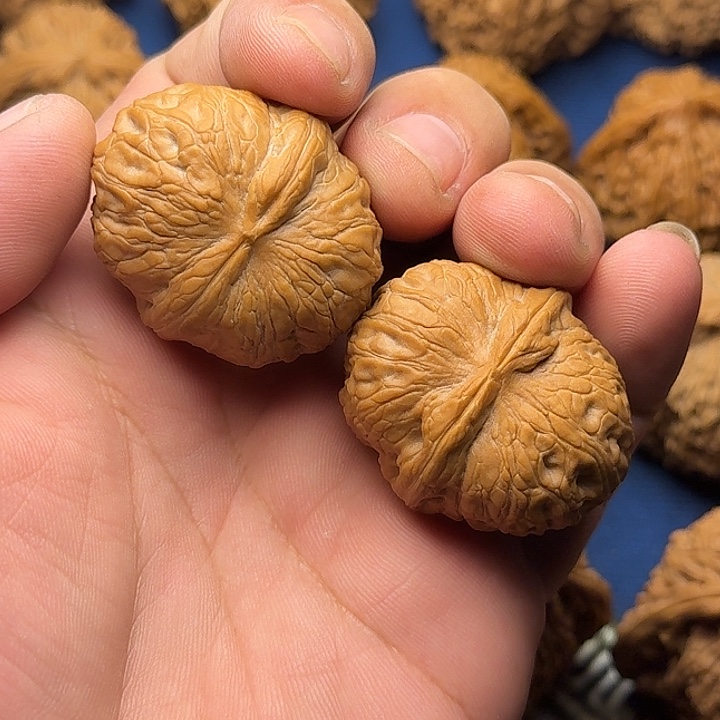 33精品元宝狮子头