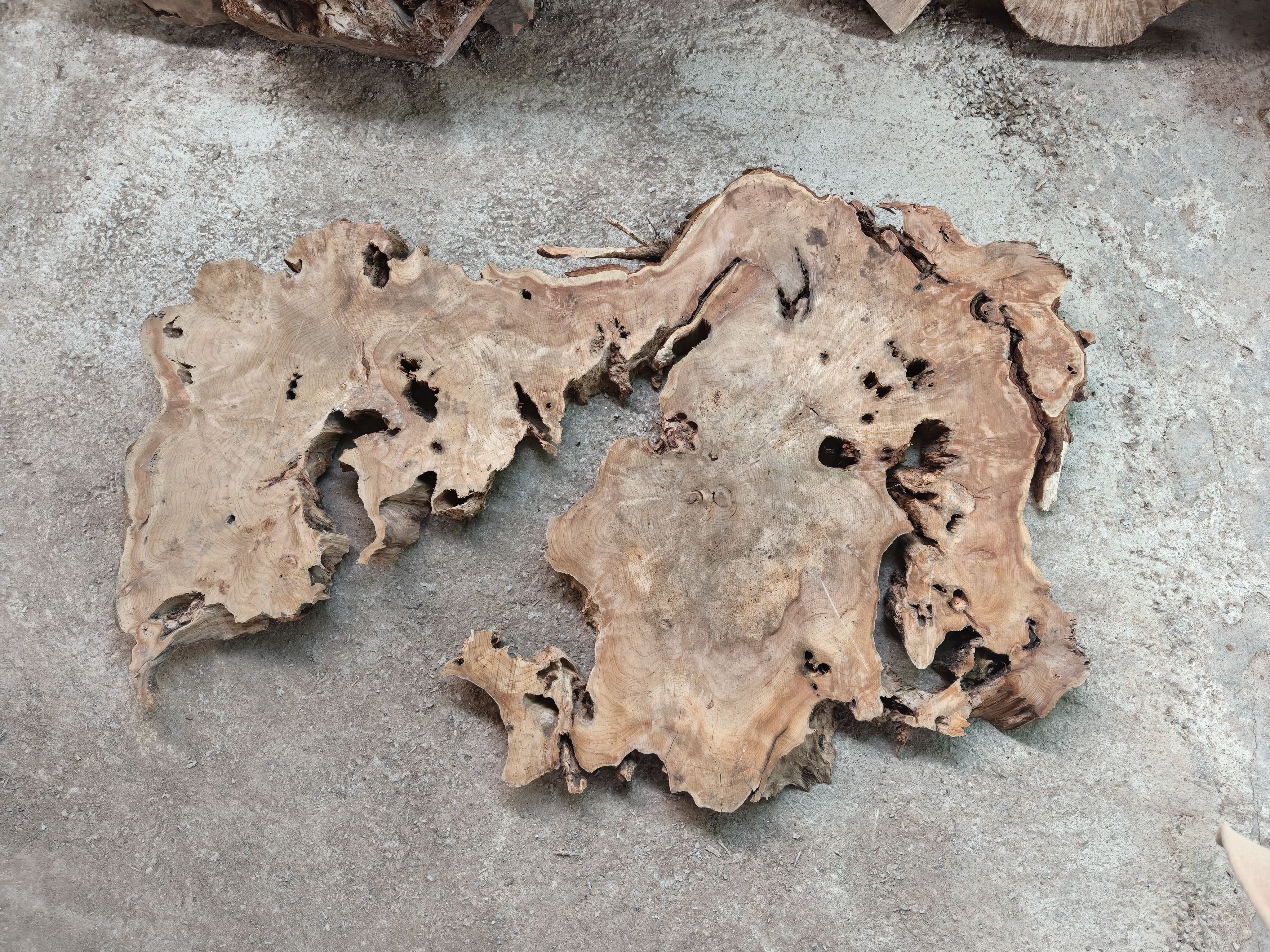 香衫枯木瘤板材，直播间截图为准