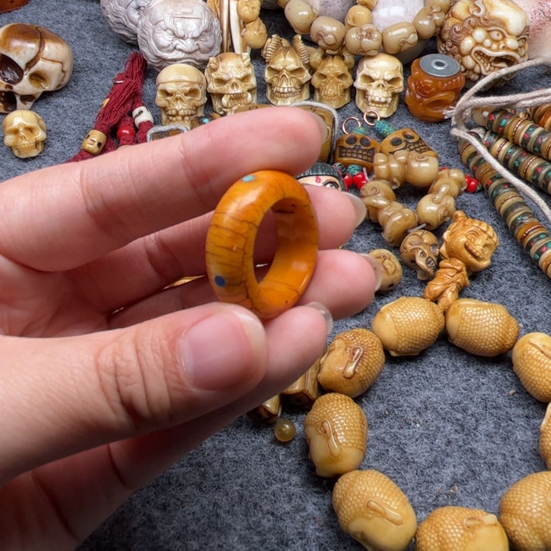 其他鹿骨人工养殖驼骨31