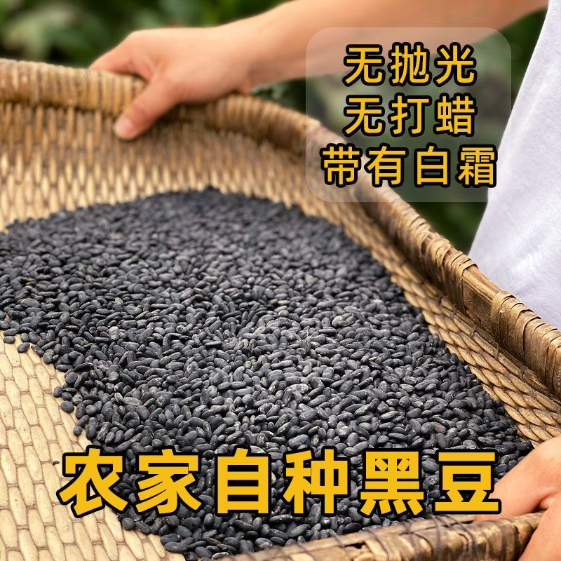 「助农好物」白竺高山优质黑豆传统精品老品种可打豆浆