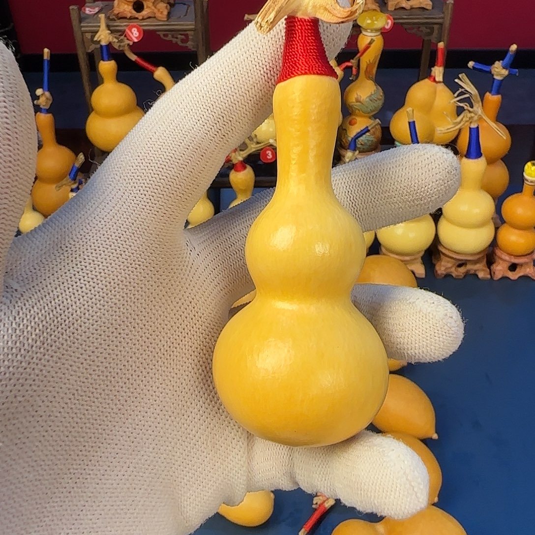 葫芦10号三七肚粗嘴满籽