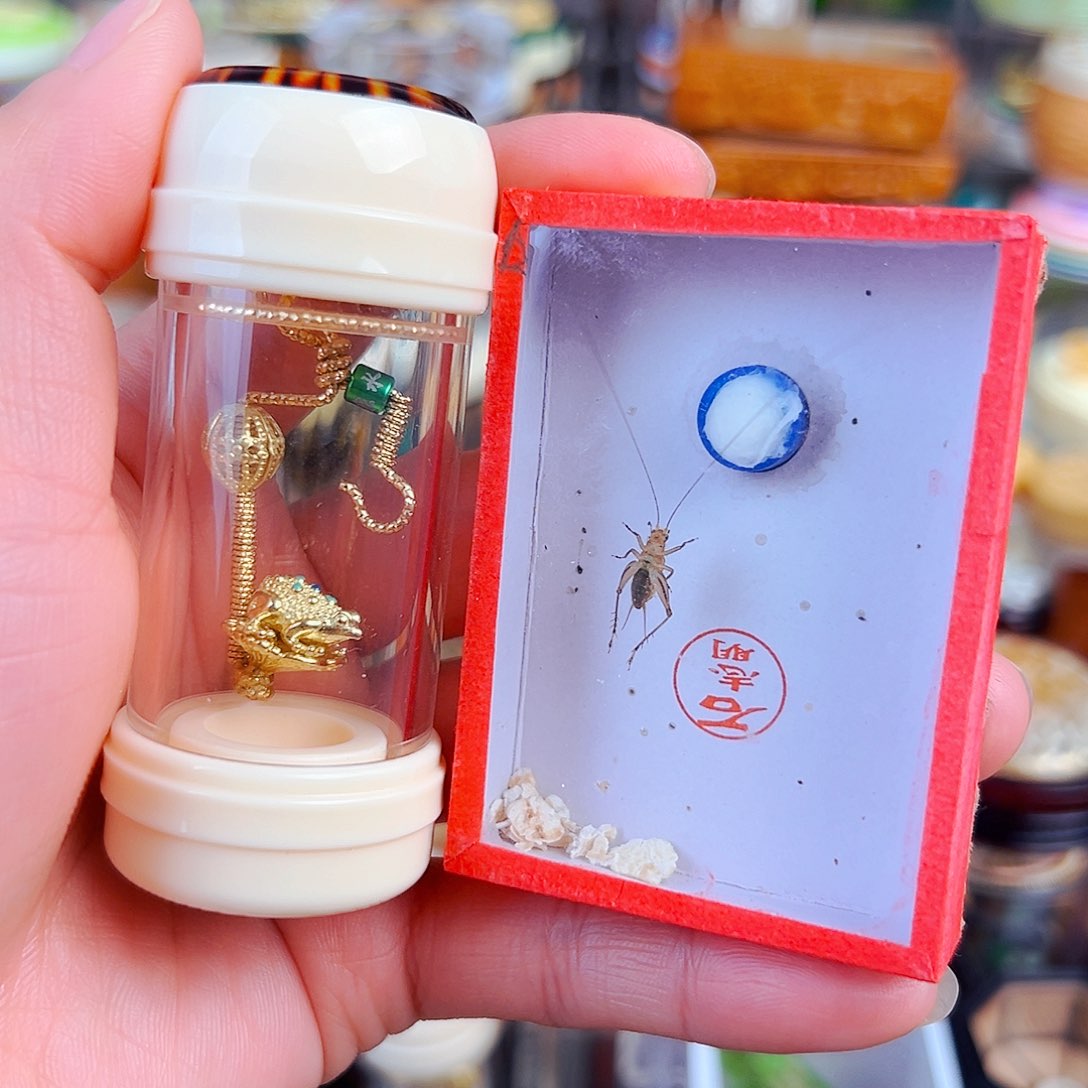 木密胺30筒➕金蟾攀爬簧➕石志明大黄蛉