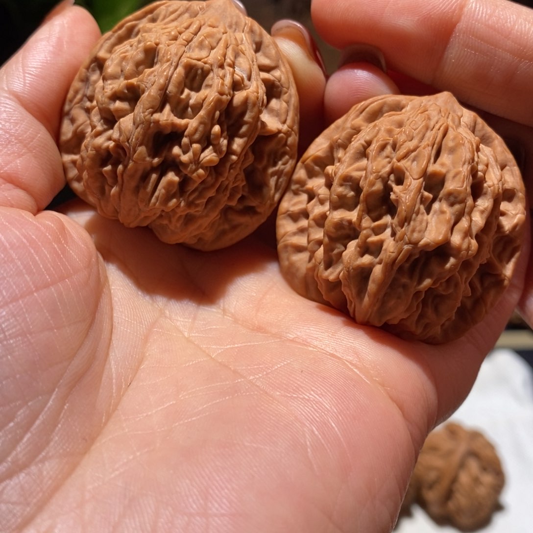 文玩核桃把件麦穗40