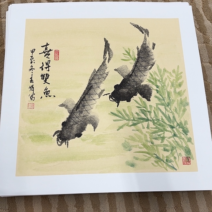 国画花鸟的翅膀是一个巨大的蝴蝶结