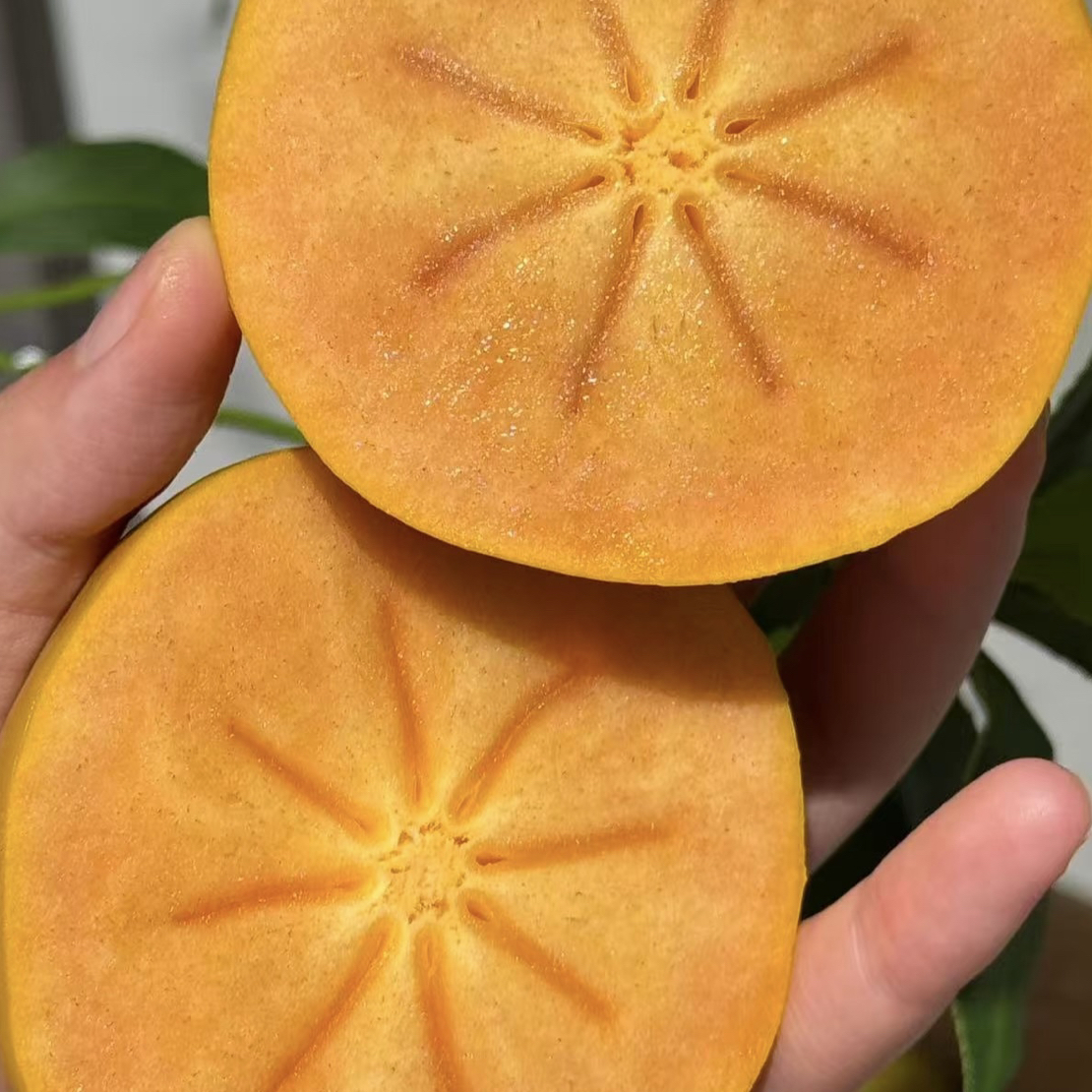 巧克力柿子一盒四个