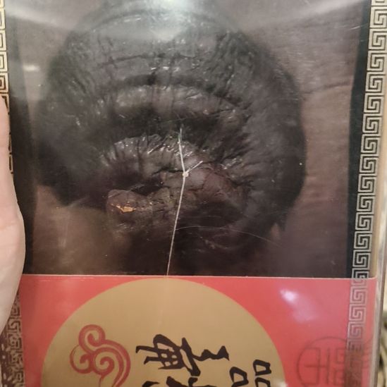 熊****鹿角鹿角鹿角鹿角鹿角