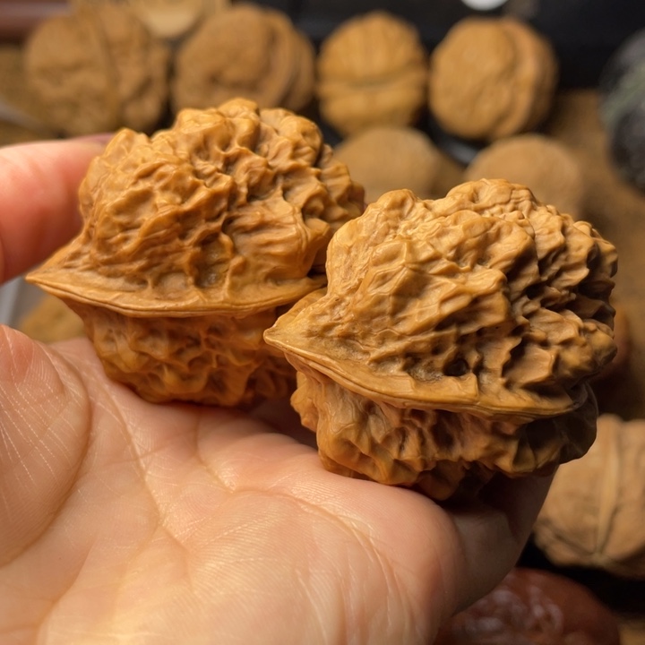 墨***本如图所示一物一拍83