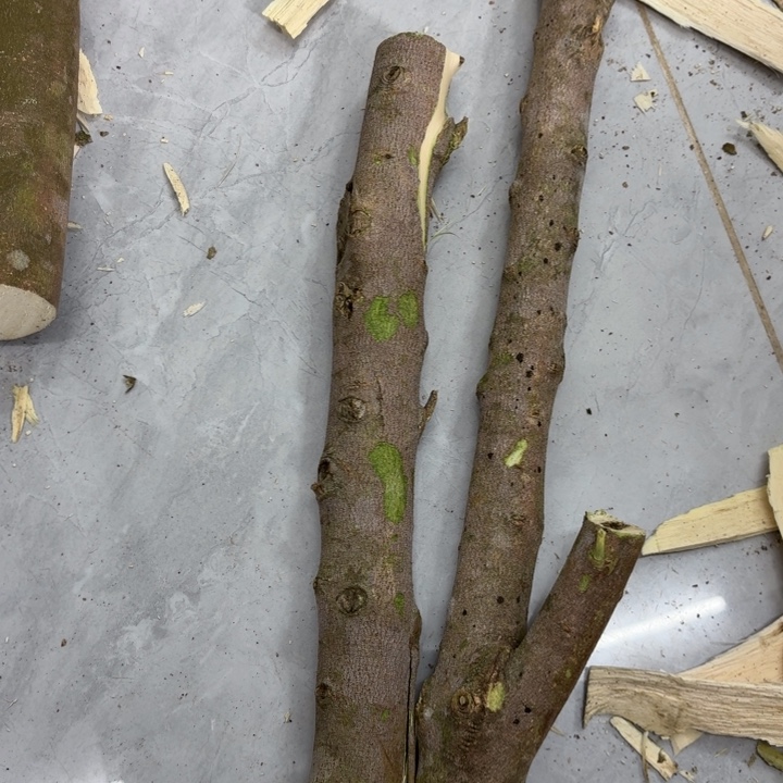 秋***～木紫琪原木发一份