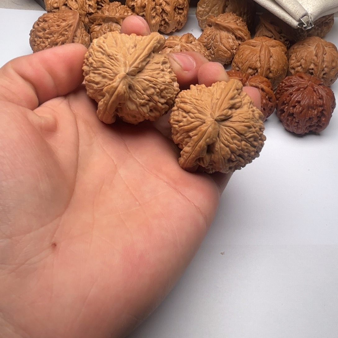 文玩核桃不不不不不不不不不