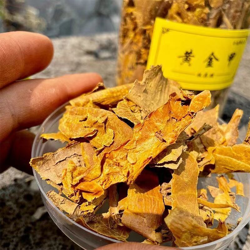 降真香黄金甲黄药膜片片精挑香韵甘甜