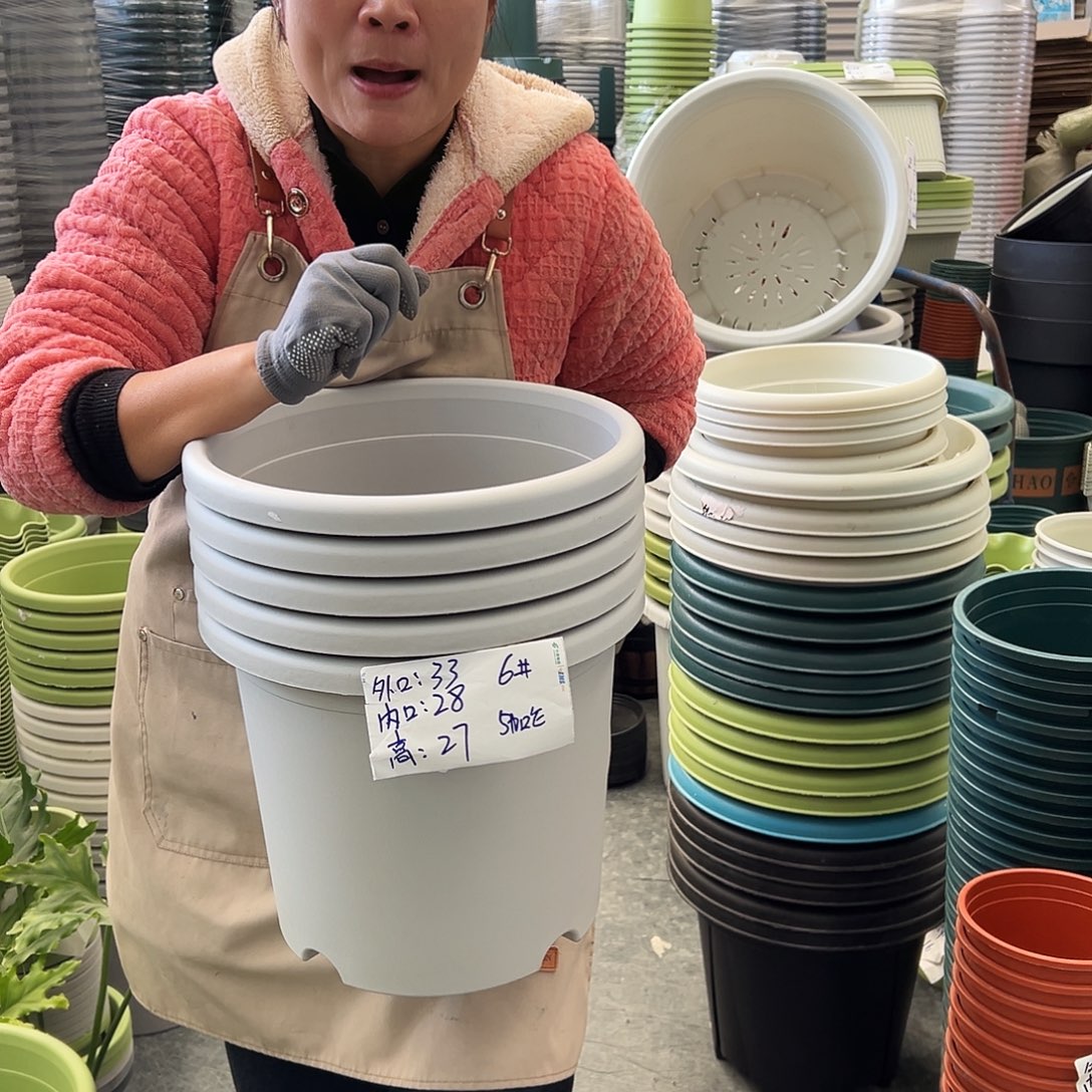 四季盆6#灰白色5个无托