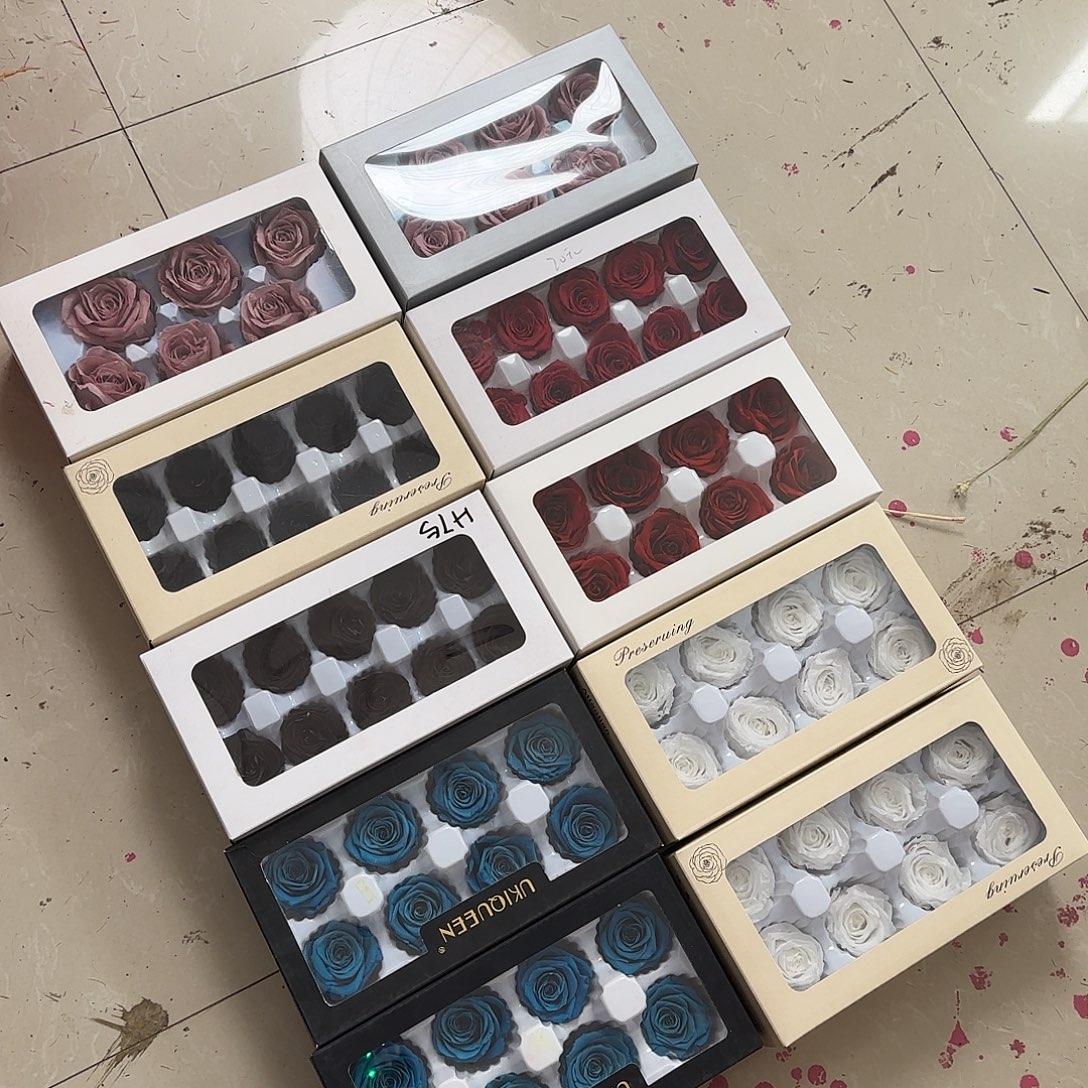 H75号10盒混色玫瑰