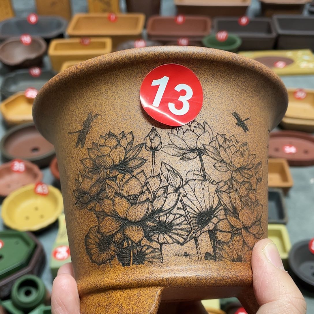 中***菜紫砂小盆12.5*10cmmm