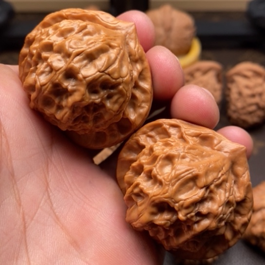 文玩核桃把件大耳朵图图