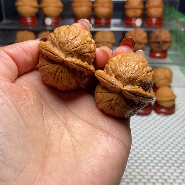 文玩核桃把件11金龟玉甲