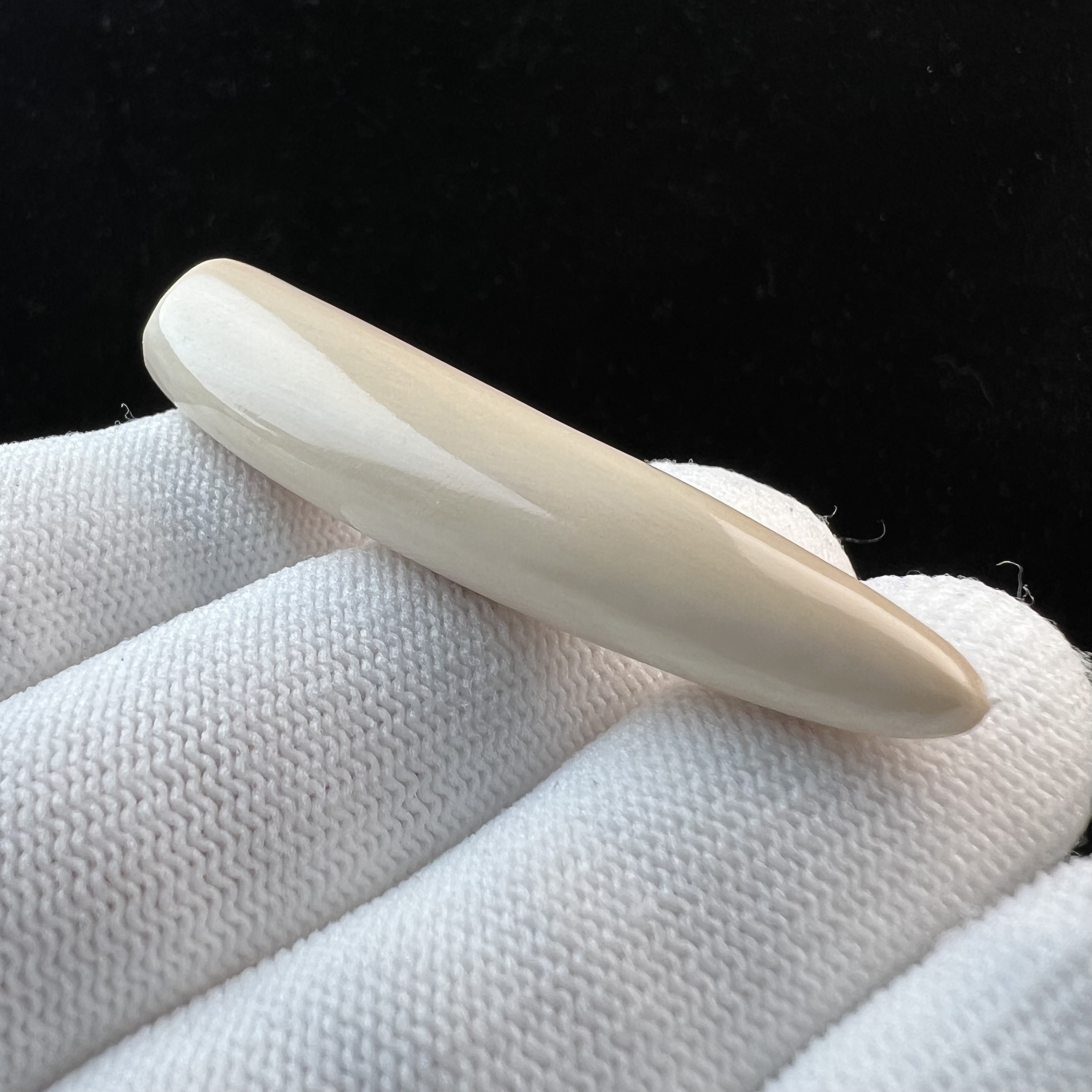 D4621天然猛犸牙 牙尖 12*54mm支持鉴定 假一罚四