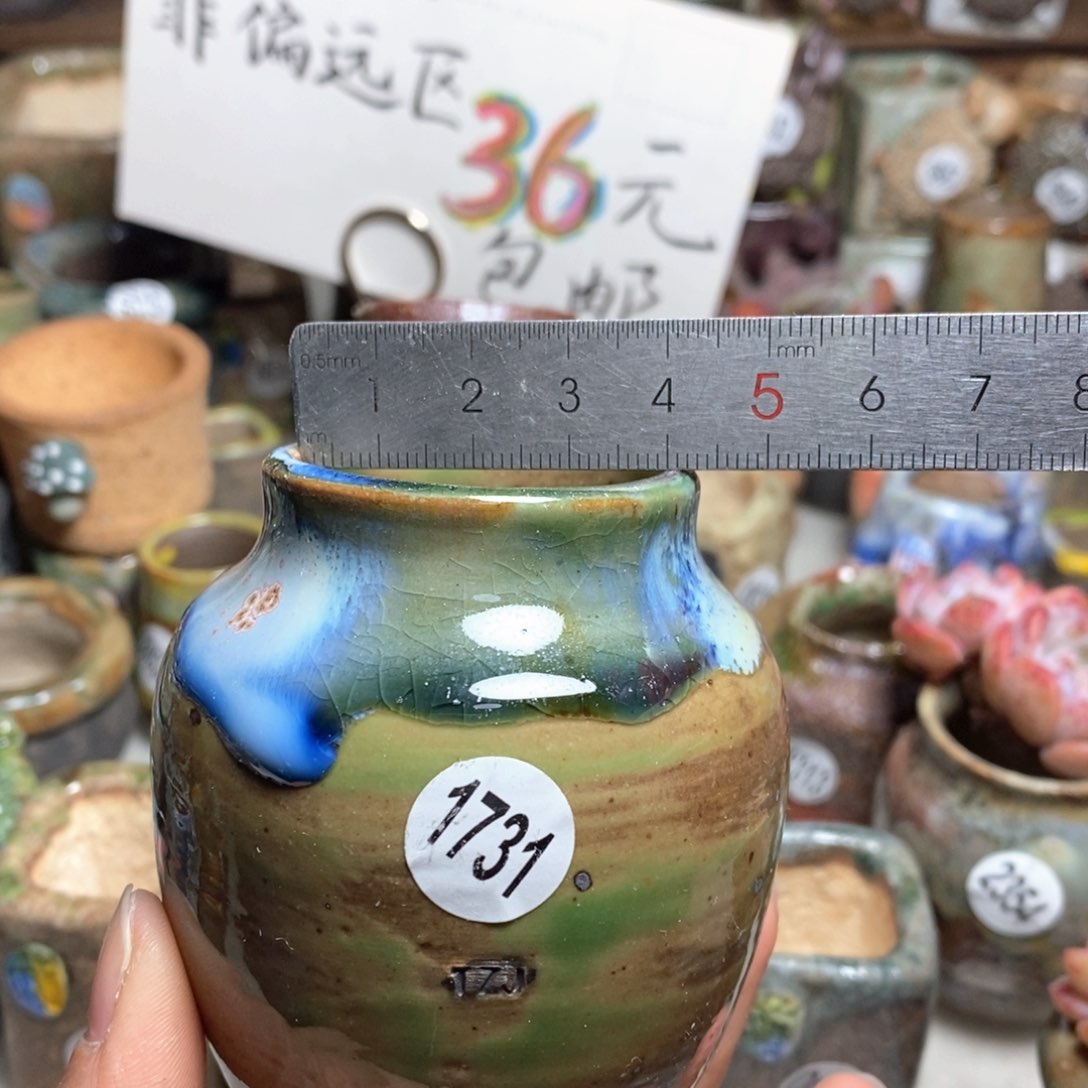 处理的花盆不退不换的，原价28