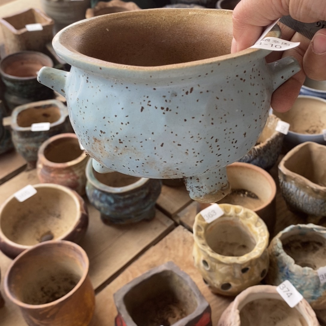 红陶快*10号多肉盆一个呀