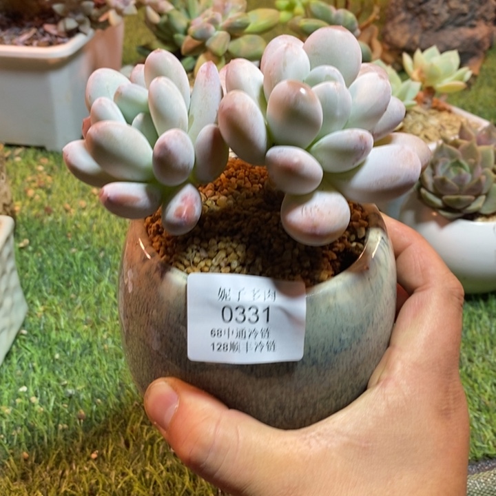 0331啊啊啊啊啊啊啊啊啊啊啊